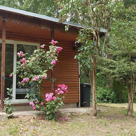 Zichtau Waldhaus Halvor 빌라 외부 사진